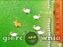 Miniaturka gry: Pies I Owce