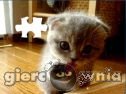 Miniaturka gry: Puzzle Kotek