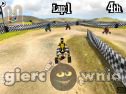 Miniaturka gry: 3D Quad Bike Racing