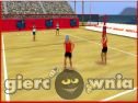 Miniaturka gry: Rule The Beach Volleyball
