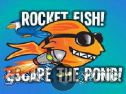 Miniaturka gry: Rocket Fish