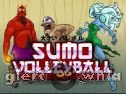 Miniaturka gry: Sumo Volleyball