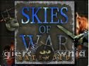 Miniaturka gry: Skies Of War Extended