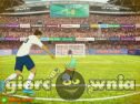 Miniaturka gry: Soccer Pro