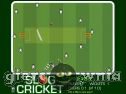 Miniaturka gry: Slog Cricket