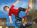 Miniaturka gry: Skate Mania