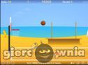Miniaturka gry: Summer Basketball