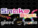 Miniaturka gry: Snake Blast