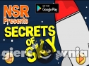 Miniaturka gry: Secrets Of Sky