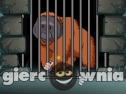 Miniaturka gry: The Orangutan Escape
