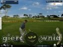 Miniaturka gry: World Golf Tour